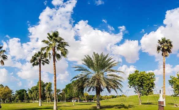 Sharjah National Park